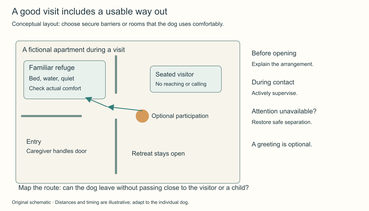 A fictional apartment shows a familiar refuge separated from the entrance, a seated visitor, optional dog participation, and an open retreat route. Caregivers handle doors and restore secure separation when active supervision is unavailable.