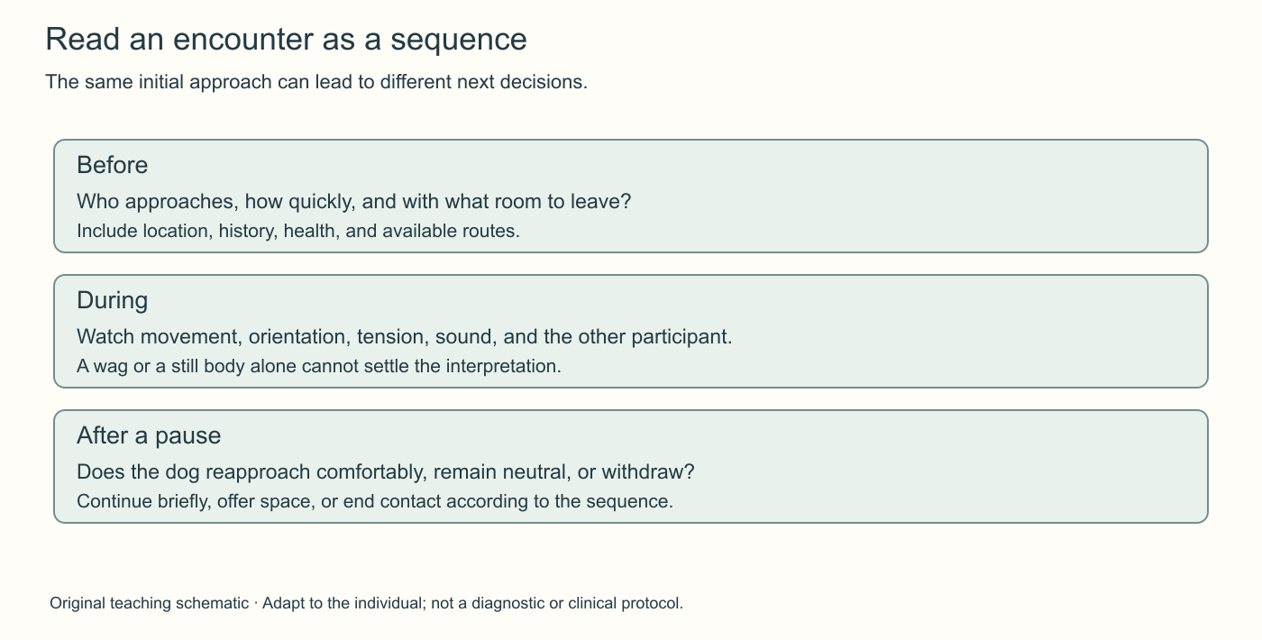 Read an encounter as a sequence. The same initial approach can lead to different next decisions. The three stages connect observations to practical choices described in the chapter.