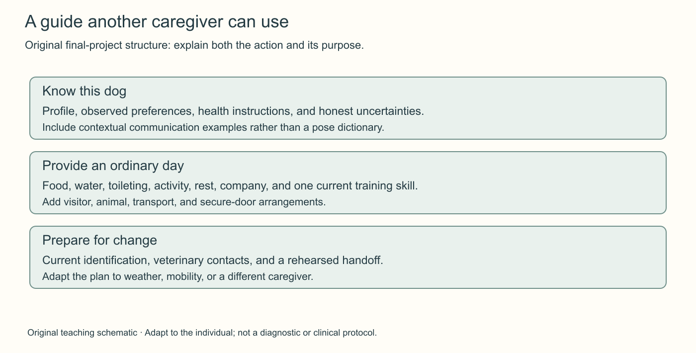 A guide another caregiver can use. Original final-project structure: explain both the action and its purpose. The three stages connect observations to practical choices described in the chapter.