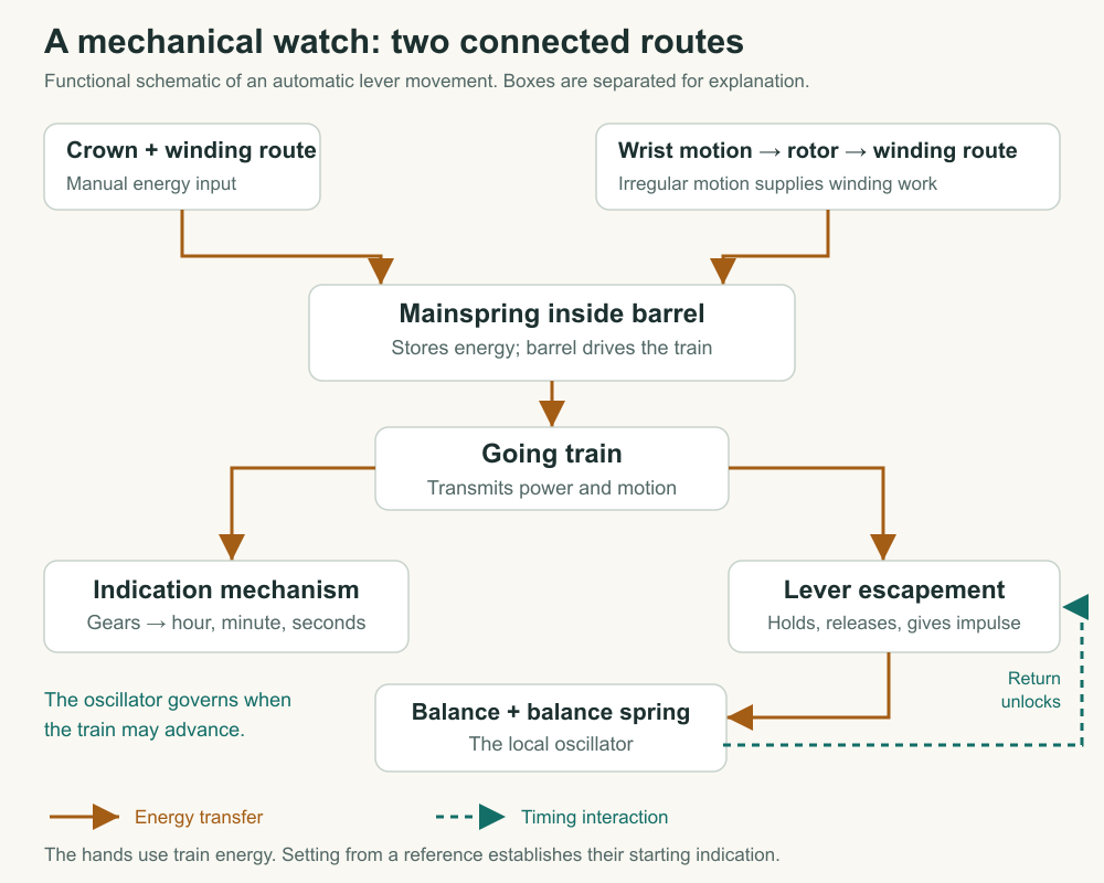 A functional mechanical-watch diagram separates crown and rotor winding inputs, mainspring storage, train output to hands and escapement, sustaining energy to the balance, and the balance's return that unlocks the escapement.