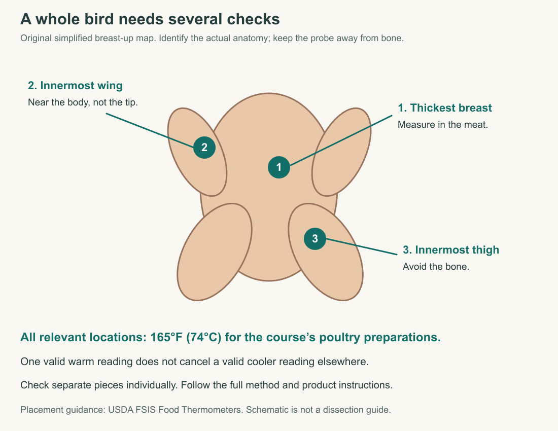 Simplified breast-up poultry map identifying thickest breast, innermost wing and innermost thigh measurements.