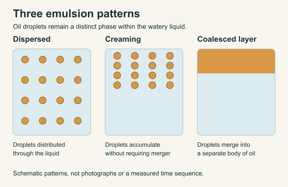Dispersed oil droplets, creaming without necessary merger, and a coalesced oil layer are distinct schematic patterns, not photographs of an experiment.