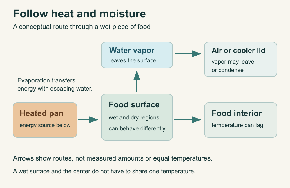 Energy travels from pan to food surface and interior; evaporation carries energy with escaping water, which can leave or condense on a cooler lid.