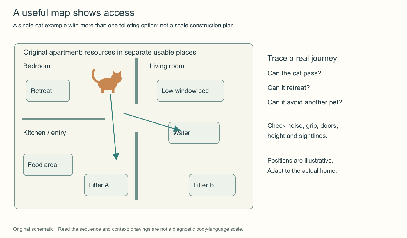 A fictional apartment map separates food, water, litter options, a retreat, and an accessible window bed. Arrows invite checking routes, doors, noise, and possible blocking; positions are examples rather than required distances.