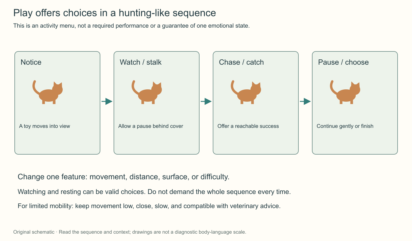 A four-part play menu offers noticing, watching or stalking, reachable chasing and catching, and a pause with a choice to continue or finish. The cat need not perform every part.