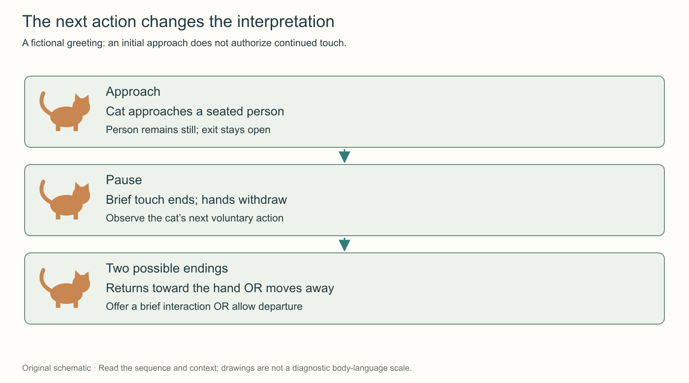 A three-stage greeting diagram shows approach, a pause after brief touch, and either renewed approach or departure. The person responds to the ending rather than treating the initial approach as unlimited permission.