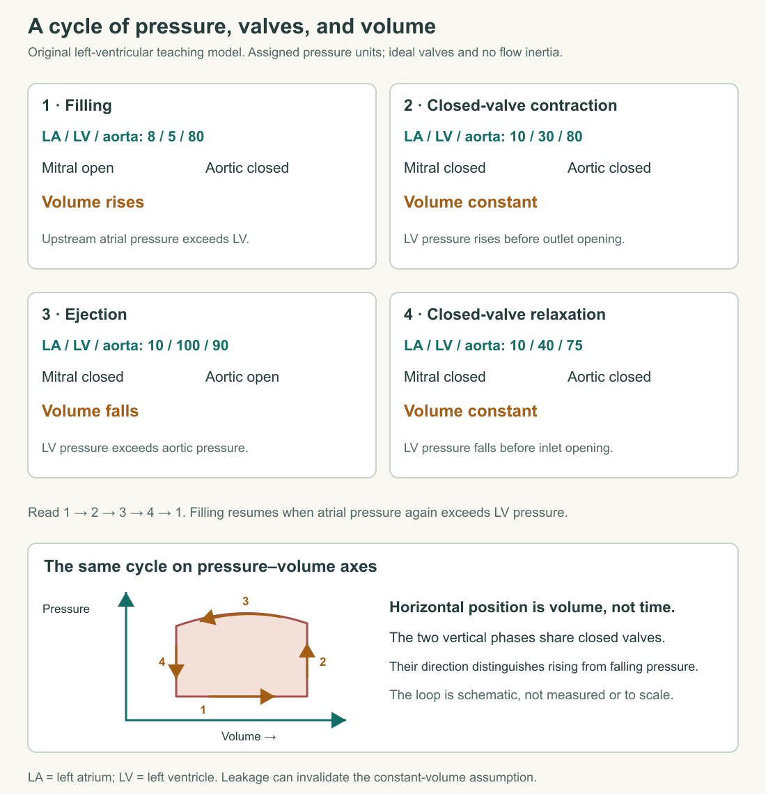 Four original assigned pressure snapshots distinguish filling, closed-valve contraction, ejection, and closed-valve relaxation, with an illustrative pressure-volume loop.